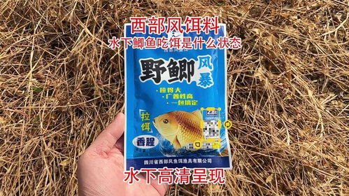 三叶草钓鱼饵料配比指南，天然诱饵的科学配方与使用技巧