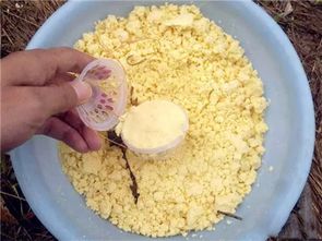 燕麦片也能钓大鱼？教你用家常食材自制钓鱼饵料！