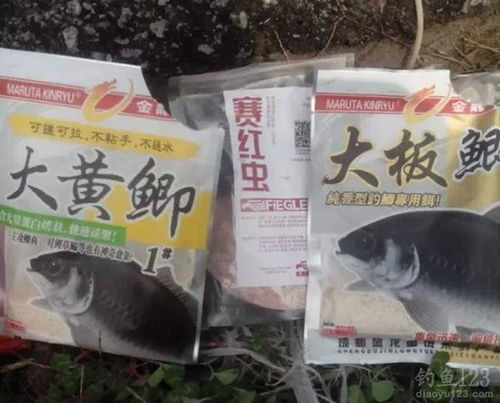 秋冬钓鱼饵料黄金法则，让鱼儿主动上钩的秘诀