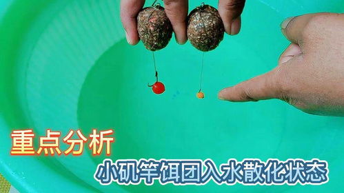 矶竿闷竿钓鱼饵料状态怎么样？