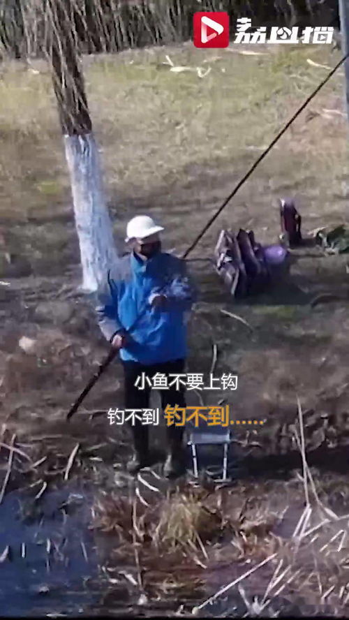 无人机钓鱼饵料，取下后果严重！