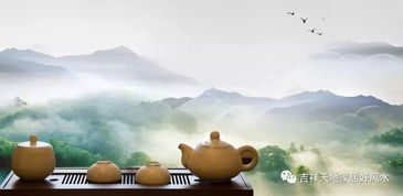 视频|茶叶改变世界？茶文化背后的历史风云