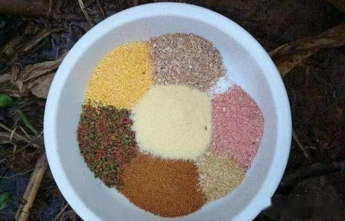 牛渡滩钓鱼饵料怎么样？好用吗？深度解析与实战体验