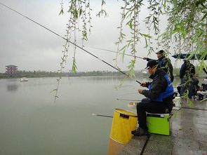 春季钓鱼选饵指南，摇三摇的实战表现与使用技巧