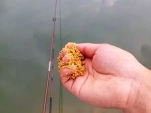 万能钓鱼饵料的使用指南，让鱼儿主动上钩的秘密武器