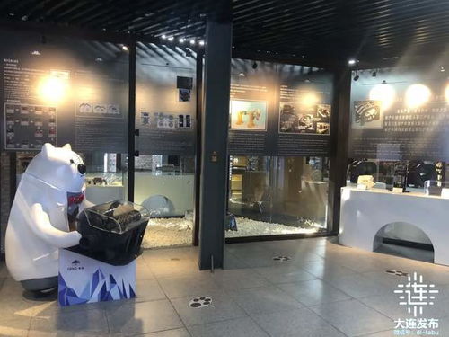 金哥钓鱼饵料评测，好用吗？全面解析与使用体验