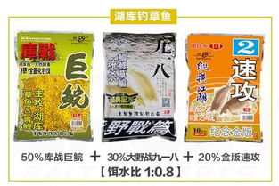 九月钓鱼饵料味型选择指南，季节转换期的实战策略