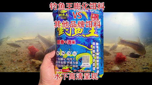 钓鱼王的巧夺鲤鱼饵料评测，效果如何？