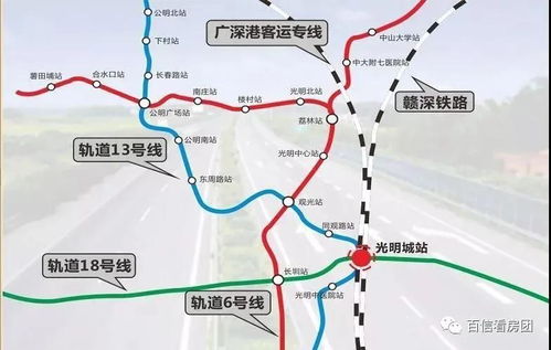 桃源钓鱼饵料怎么样？价格解析与真实体验