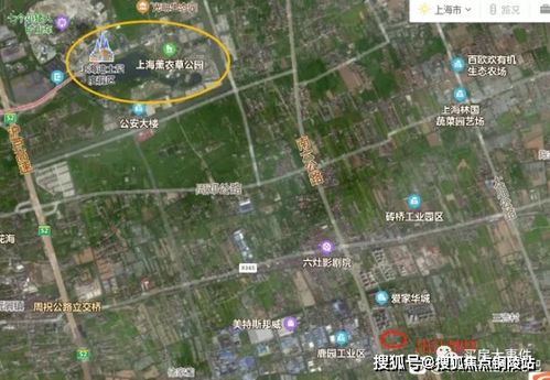 大丰钓鱼饵料怎么样？价格解析与购买指南