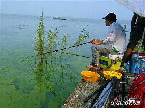 揭秘望花湖饵料，为什么钓友都说好用？