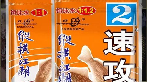 揭秘！晚九点钓鱼饵料选择全攻略