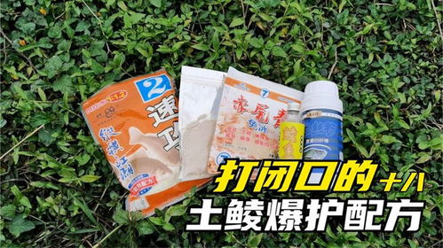 湖湾钓鱼饵料怎么选？老钓友的经验分享告诉你答案！