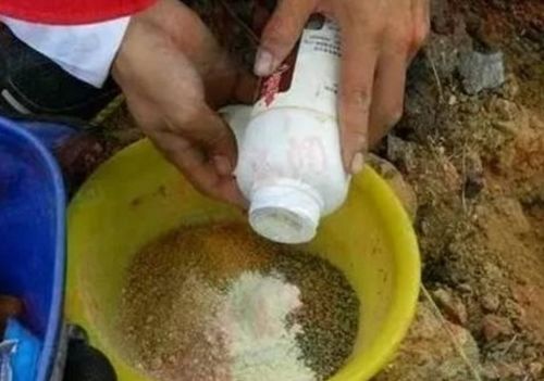 长期接触钓鱼饵料的危害与防护措施