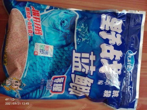 五龙河钓鱼饵料怎么样，全面评测与使用心得