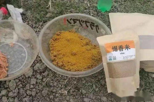 钓鱼饵料一传十怎么样，深度解析与实用指南