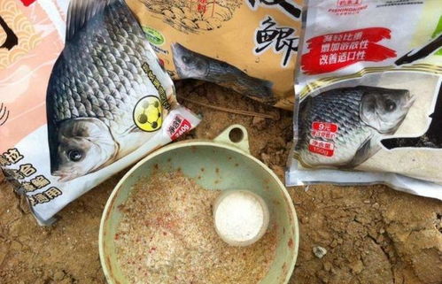 一学就会！一荤一素钓鱼饵料实战应用指南