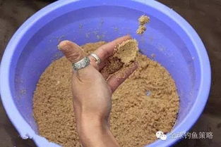 百里香钓鱼饵料的使用方法详解