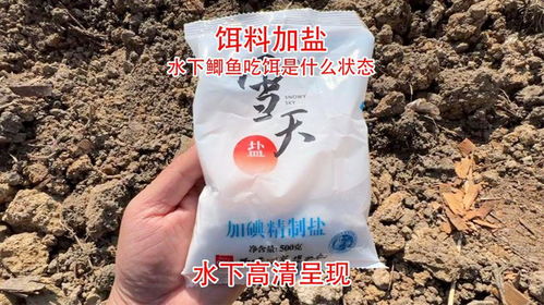 野狐钓鱼饵料怎么样？深度评测告诉你它到底好用吗？