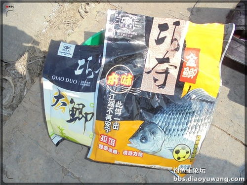 全面指南，钓鱼王一竿中鱼饵料真伪鉴别与购买建议