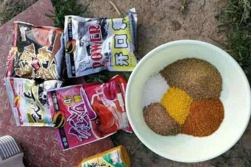 钓鱼饵料三件套怎么选择，从新手到专家的全面指南