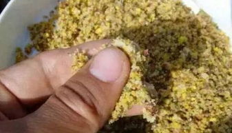钓鱼饵料粘一层胶的原因及解决方法