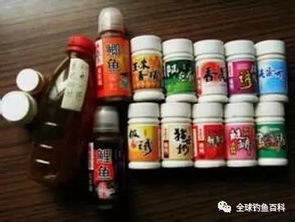 仓吉台钓饵料怎么样？深度解析与实战评测