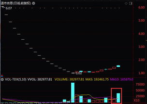 视频|“超级牛散”魏巍豪赌ST华通，50天赚了近1.7亿元，与毛幼聪、李东璘、魏娟意并称“牛散F4”