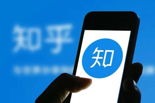 马哥钓鱼饵料怎么样？知乎真实测评与用户反馈解析