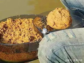 不会弄钓鱼饵料怎么办？新手必看实用指南！