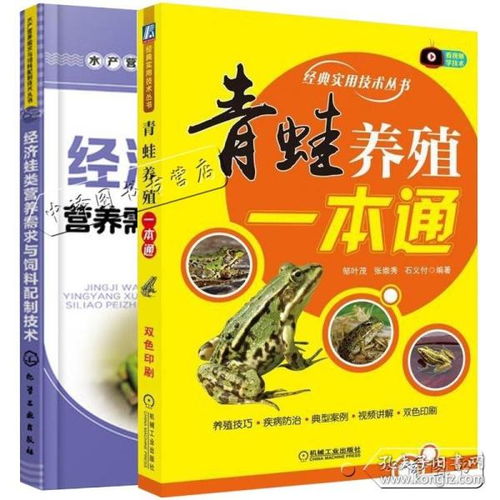 三炮饵料配制全攻略，从入门到精通