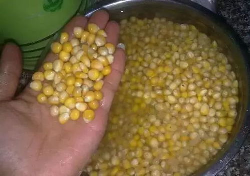 自制五谷饼饵料秘籍，钓鱼高手必学的饵料制作全攻略