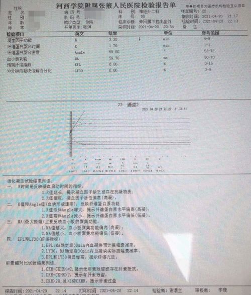 浑河钓鱼饵料怎么样？全面评测其使用效果