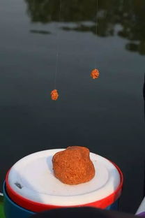 第一次钓鱼饵料怎么弄，新手必看的饵料选择与制作指南