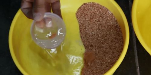 钓鱼饵料寄生虫多吗？怎么办？