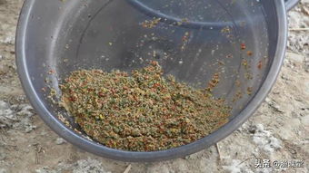 钓鱼饵料开干一点怎么样？这份饵料状态秘籍请收好！