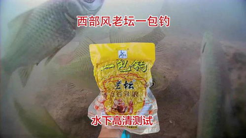 祥峰钓鱼饵料豆豆球评测，怎么样？效果如何？