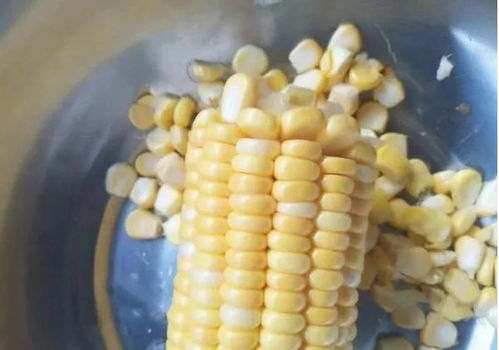 玉米粒的妙用，教你用买的玉米粒制作钓鱼饵料