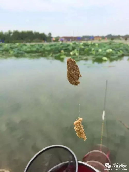 湘湖钓鱼饵料怎么样？好用吗？