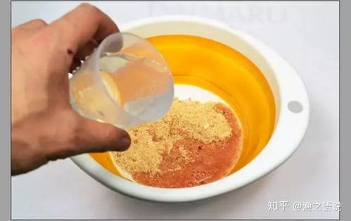 雪狐钓鱼饵料秘方，黄金比例与实战技巧全解析