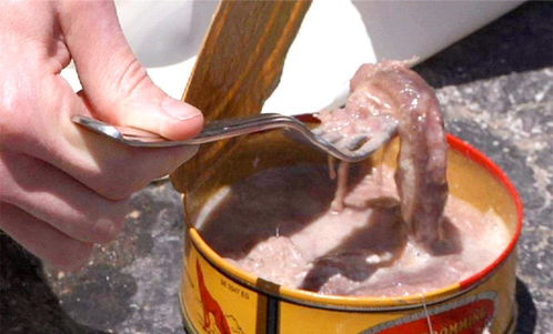 自制漂流瓶饵料，钓鱼界的秘密武器
