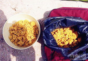 生玉米面怎么做钓鱼饵料？自制玉米面饵料的秘方与技巧