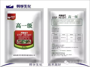 岳氏钓鱼饵料盒怎么样，全面评测与用户反馈