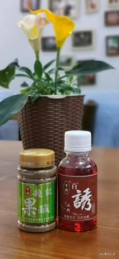 钓鱼饵料越来越少怎么办？这些方法帮你解决！
