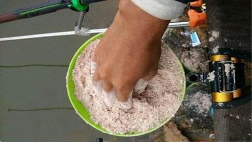 钓鱼饵料盆螺丝拆卸指南，从基础到疑难处理