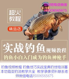 钓鱼饵料到底怎么弄啊，视频教程全解析