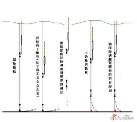 七星漂钓鱼饵料怎么调漂，从入门到精通的完整指南