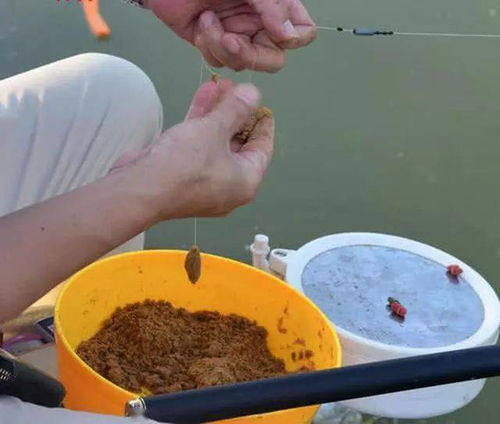 五元素钓鱼饵料的使用指南，探索五行平衡的钓鱼艺术