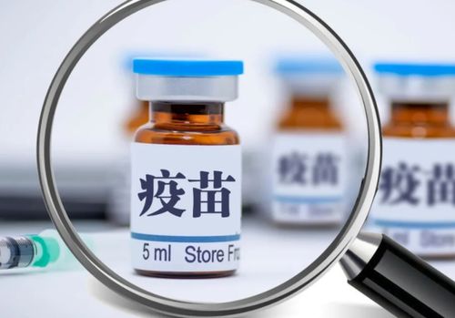 美国卫生部疫苗顾问放弃新冠疫苗广泛接种建议