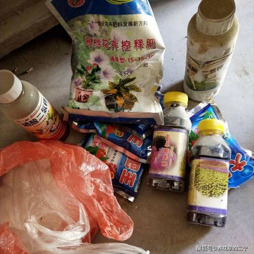 钓鱼饵料剩了还能用吗？这些处理方法让你事半功倍！